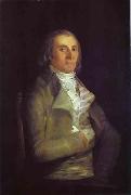 Francisco Jose de Goya Portrait of Andres del Peral oil painting reproduction